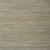 RAFFIA PALM T24067
